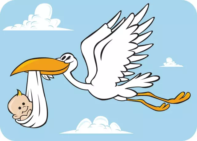 stork baby